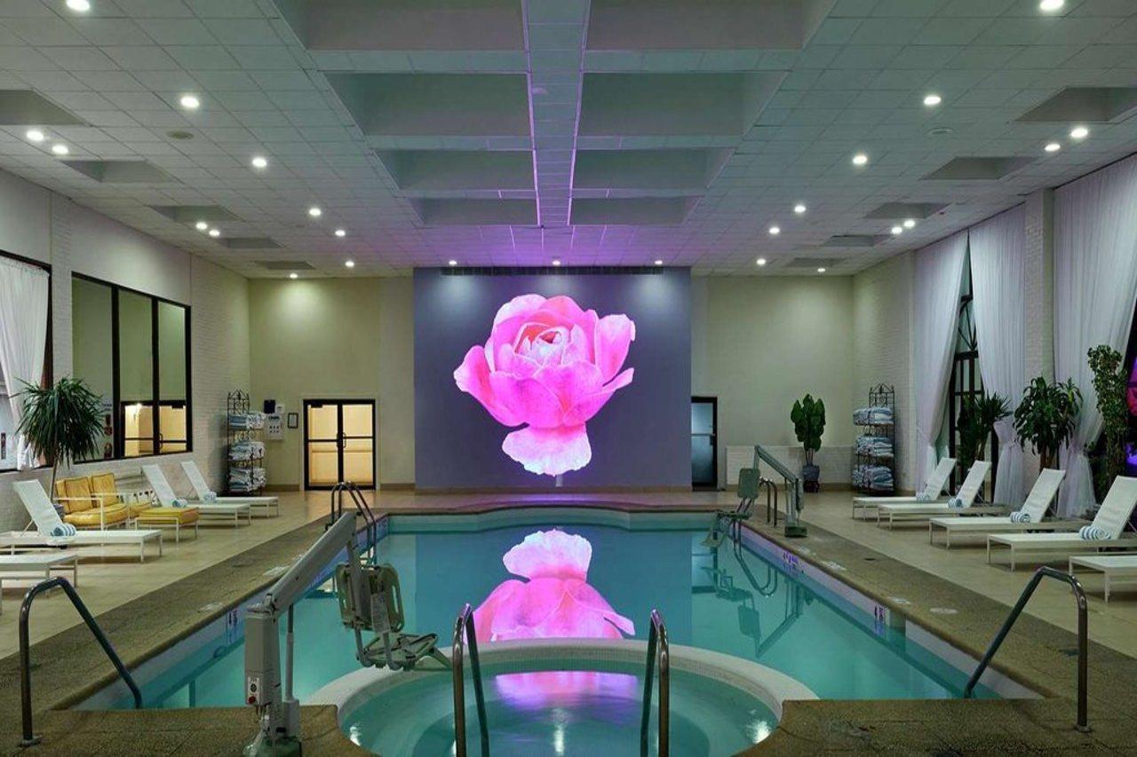 Hilton Westchester 라이브룩 외부 사진