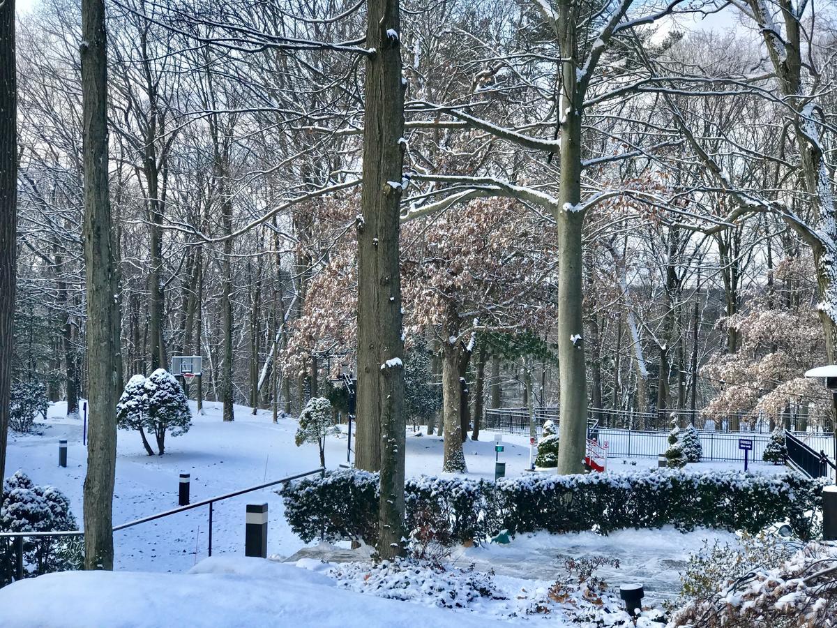 Hilton Westchester 라이브룩 외부 사진